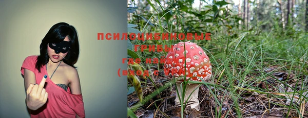 ГАЛЛЮЦИНОГЕННЫЕ ГРИБЫ Алексин