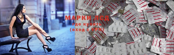 ГАЛЛЮЦИНОГЕННЫЕ ГРИБЫ Алексин