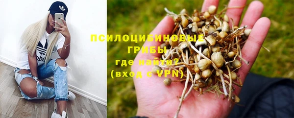 ГАЛЛЮЦИНОГЕННЫЕ ГРИБЫ Алексин