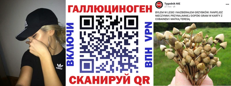 Псилоцибиновые грибы мицелий  Людиново 